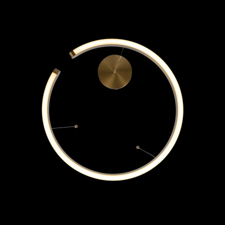 Подвесной светодиодный светильник Loft IT Ring 10013M