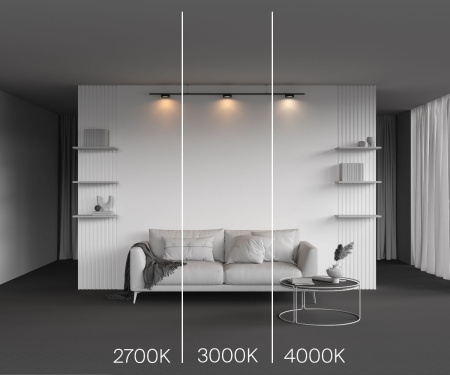 Трековый магнитный светильник Maytoni Zon TR189-1-12W3K-B