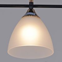 Потолочный светильник Reluce 09103-0.3-03 BK+FG