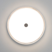 Накладной светильник Citilux Dixon CL747300V