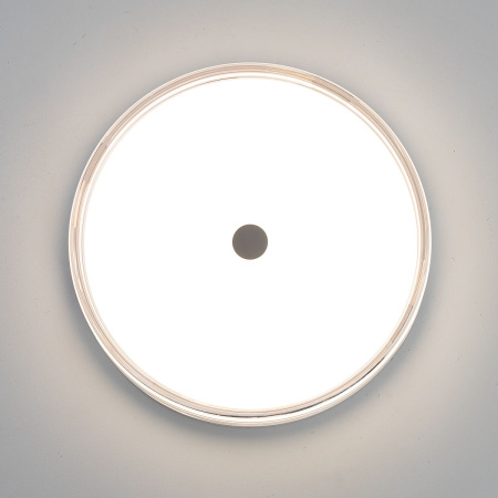 Накладной светильник Citilux Dixon CL747300V