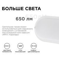 Настенно-потолочный светильник Apeyron 28-03