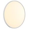 Потолочный светильник Sonex Alfa white 7659/48L