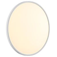 Потолочный светильник Sonex Alfa white 7659/48L