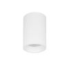 Накладной светильник Lightstar Rullo IP65 214476IP65
