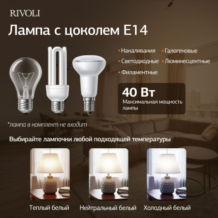 Настольная лампа Rivoli Muriel 7550-502 Б0070137