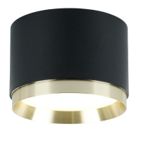 Потолочный светильник Feron Barrel DUET HL459 52021