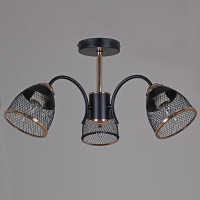 Люстра на штанге Reluce 01505-0.3-03 BK+FGD