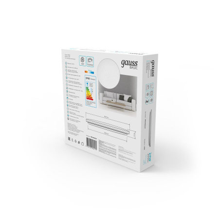 Потолочный светильник Gauss 995440224