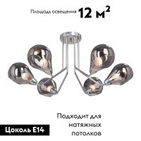 Потолочная люстра Vitaluce V4869-9/6PL