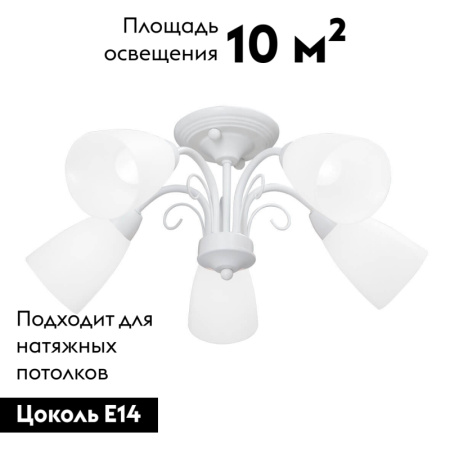 Потолочная люстра Vitaluce V3499-0/5PL