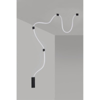 Настенно-потолочный светильник Aployt Sindrillon APL.773.02.78