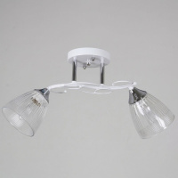 Потолочный светильник Reluce 55560-0.3-02 WH+CR