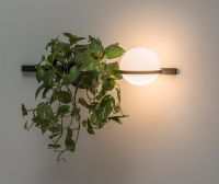 Настенный светильник ImperiumLoft Palma 99816-22