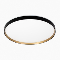 Потолочный светильник Citilux Etalon CL750501R