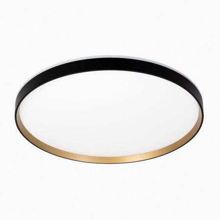 Потолочный светильник Citilux Etalon CL750501R