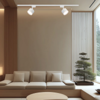 Трековый однофазный светильник Apeyron 16-89