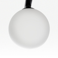 Потолочная люстра Citilux Glob CL209261