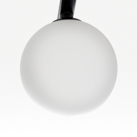 Потолочная люстра Citilux Glob CL209261