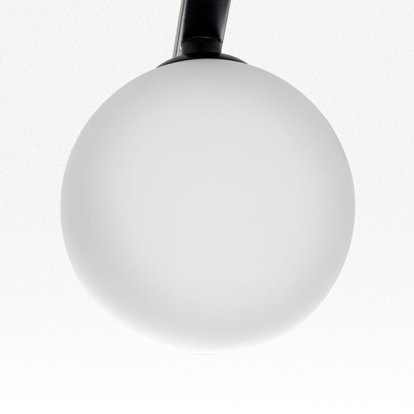 Потолочная люстра Citilux Glob CL209261