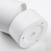 Накладной спот Lightstar Acuto 215886