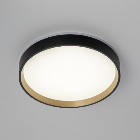 Настенно-потолочный светильник Citilux Etalon CL750241