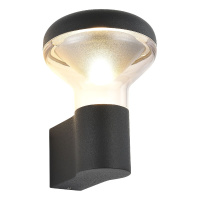 Уличный настенный светильник ST Luce Drop SL9541.701.01