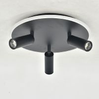 Потолочный светильник Escada 20046SMA/03LED BK