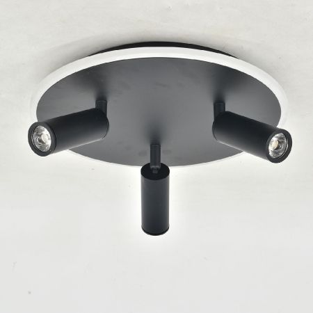 Потолочный светильник Escada 20046SMA/03LED BK