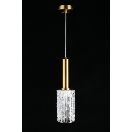 Подвесной светильник Aployt Henrite APL.310.06.01