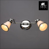 Спот Arte Lamp 81 A9231AP-2CC