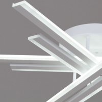 Потолочная люстра Reluce 16090-0.3-06 BK/WH