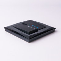 Рамка Diamant на 1 пост черный WL08-Frame-01 Werkel