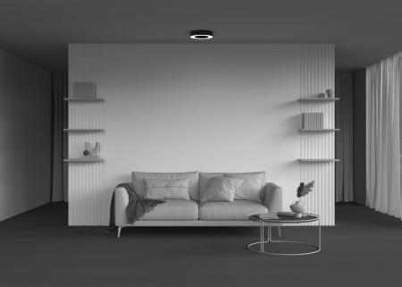 Потолочный светильник Maytoni Lua C093CL-24W4K-B