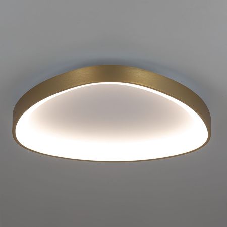 Потолочная люстра Citilux Genka Smart CL756A142