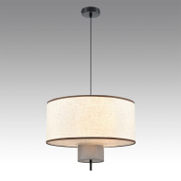 Подвесной светильник Lumion Moderni Sorento 8282/4