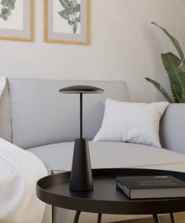 Уличная настольная лампа Eglo Piccola 900925