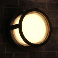 Уличный потолочный светильник Arte Lamp Ulysses A6206PF-1BK