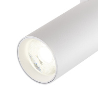 Трековый однофазный светильник Escada 20002TRA/02LED SWH