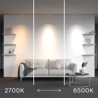 Трековый магнитный светильник Maytoni Technical Focus Led Radity TR103-4-12WTW-M-W