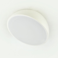 Потолочный светильник Escada 20025SMA/01LED WH