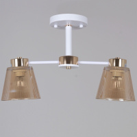 Потолочный светильник Reluce 20560-0.3-02 WH+FG