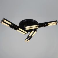 Потолочный светильник Reluce 24090-0.3-06 BK