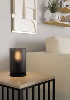 Настольная лампа Eglo Colomera 901164