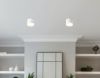 Накладной светильник Ambrella Light Acrylic Frost TN5365