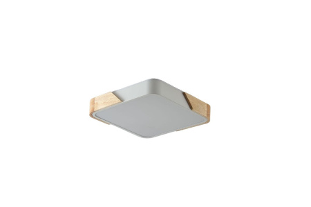 Потолочный светильник Zortes Alberro ZRS.01285.36