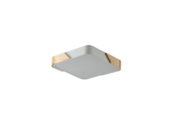 Потолочный светильник Zortes Alberro ZRS.01285.36