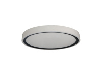 Потолочный светильник Zortes Bella ZRS.1201.07