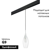 Трековый светильник Lightstar Pentola PRO803021 (803021+595007)