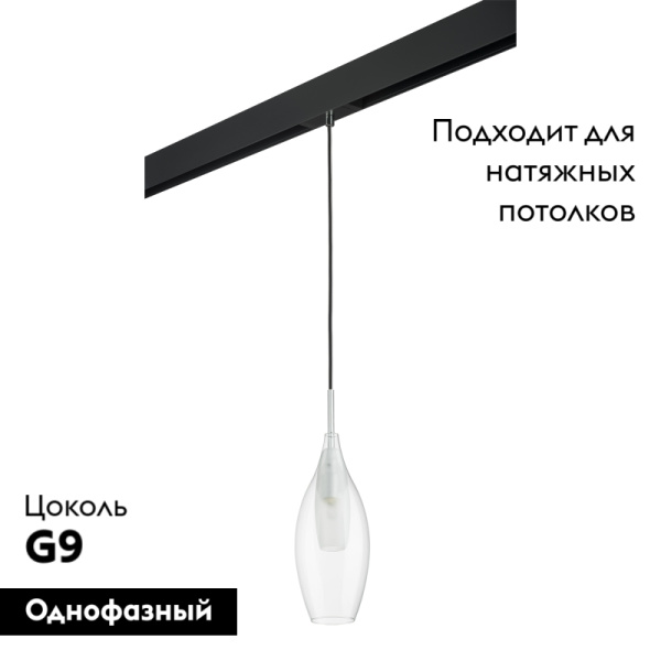 Трековый светильник Lightstar Pentola PRO803021 (803021+595007)